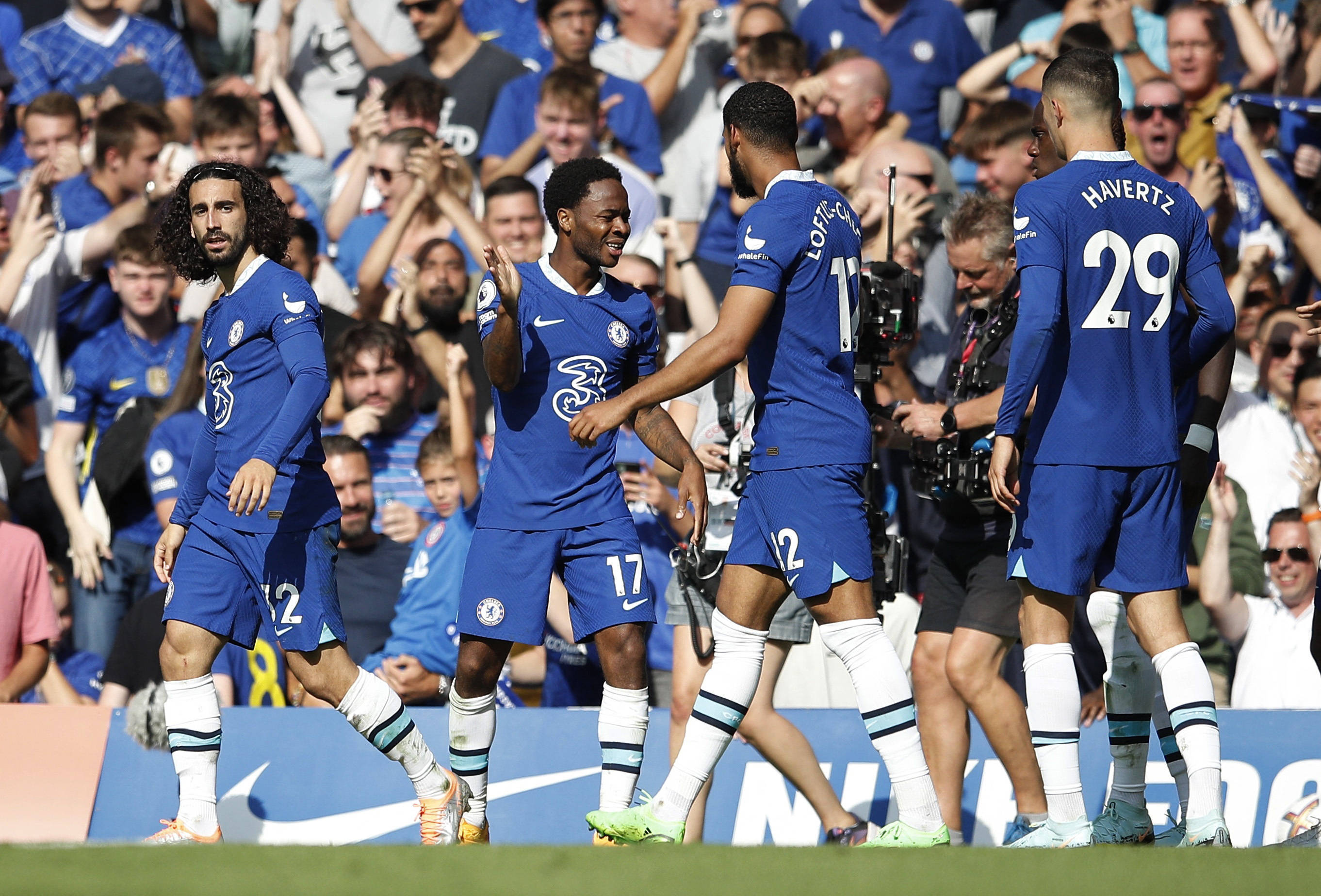 在不久的将 在不久的将