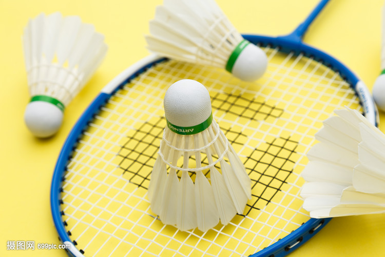 不赞成追朱 不赞成追朱