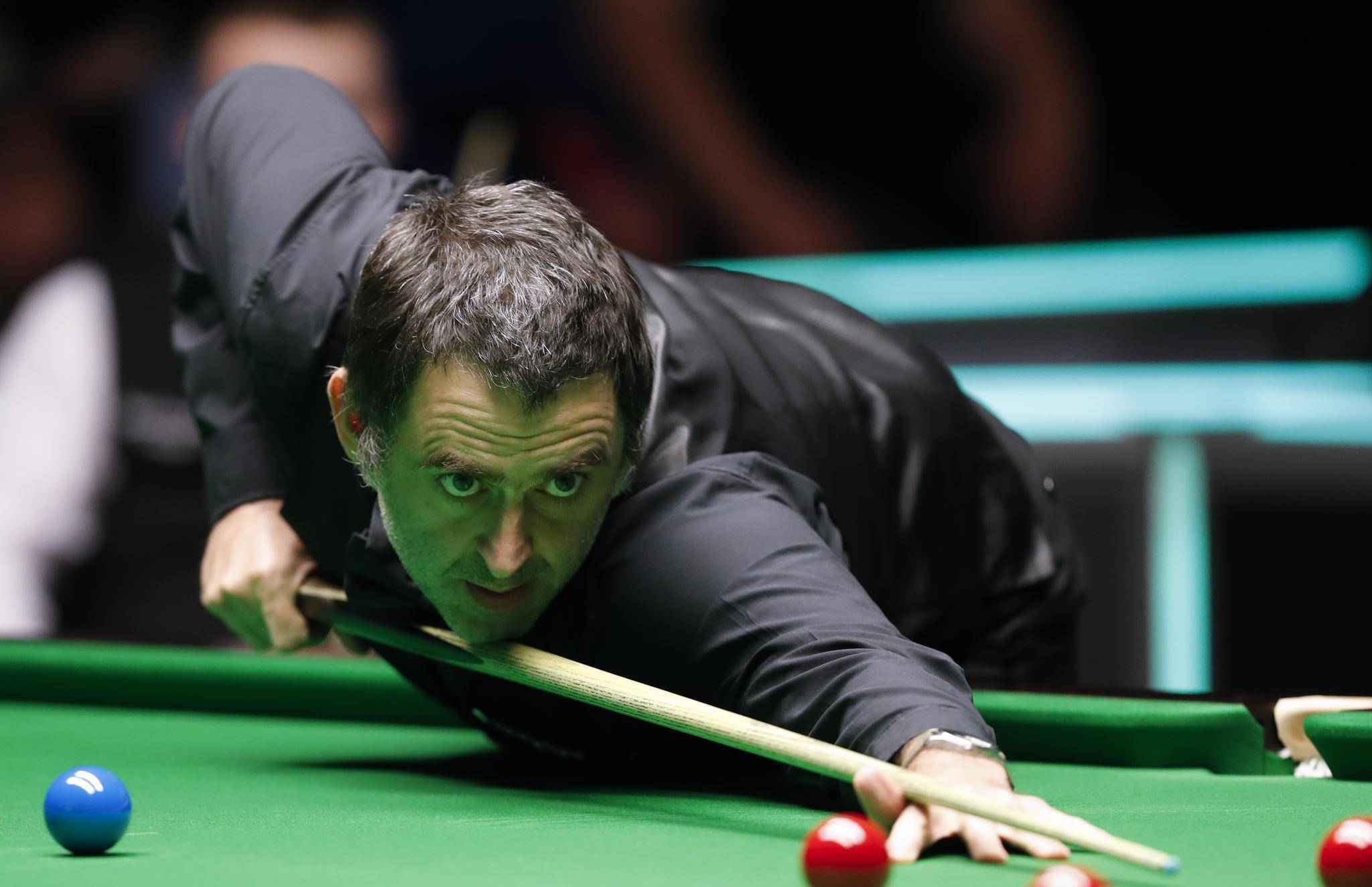 体育已成为 体育已成为